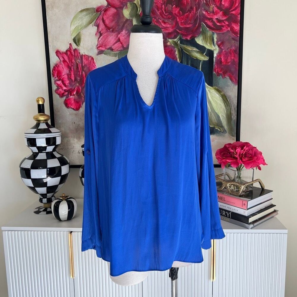 Ellen Tracy Women's V-Neck Pleated Long Sleeve Pullover Blouse Blue Medium